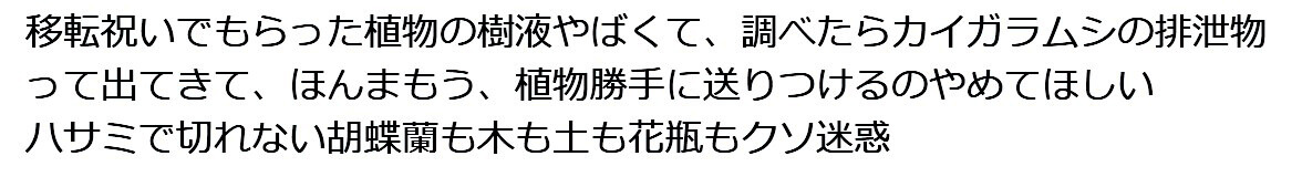 お祝い花についてX(旧twitter)で投稿されている声